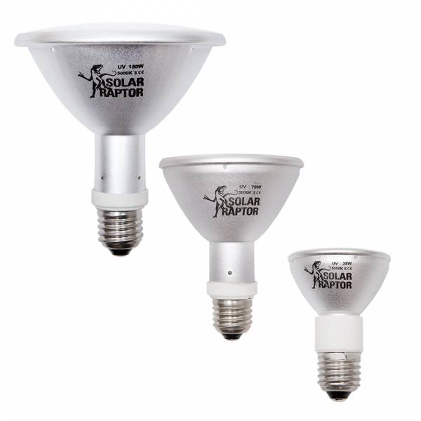 SOLAR RAPTOR® UV HID-Lamp